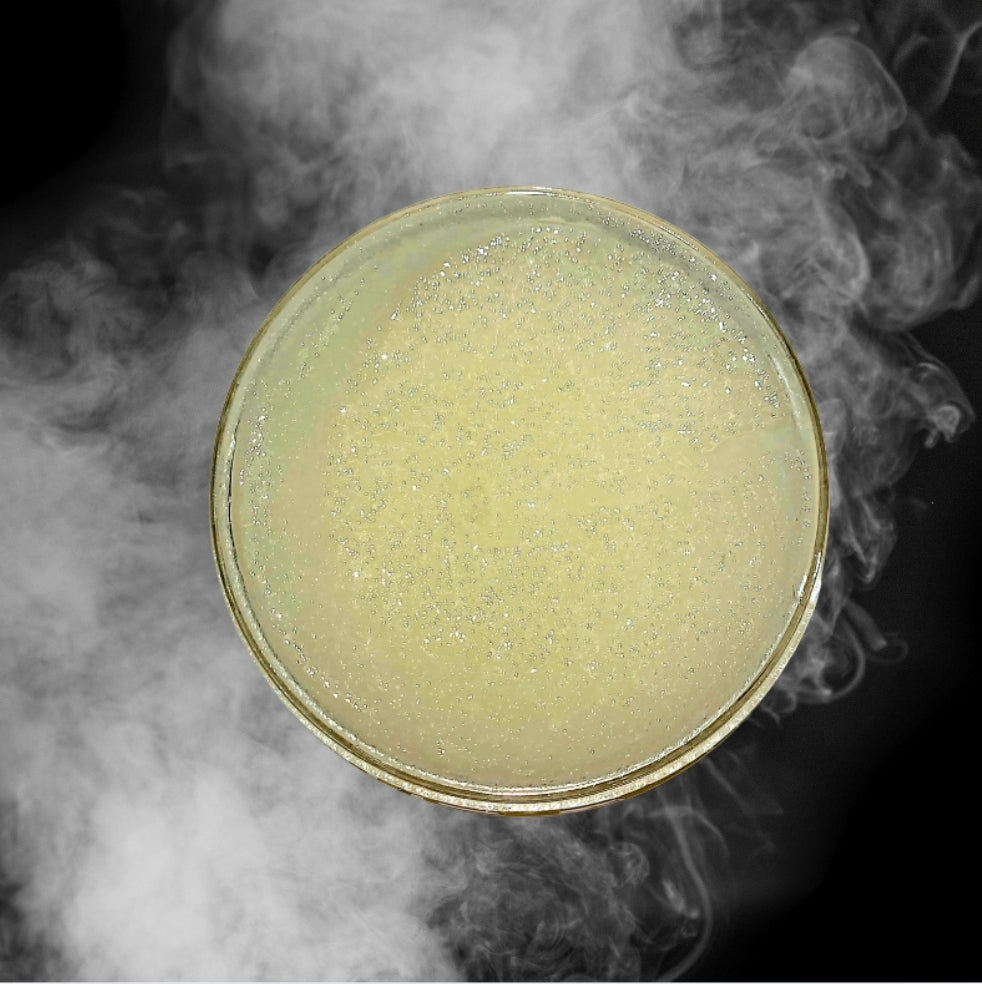 Smokin’ Vanilla Banger Skin Buffa