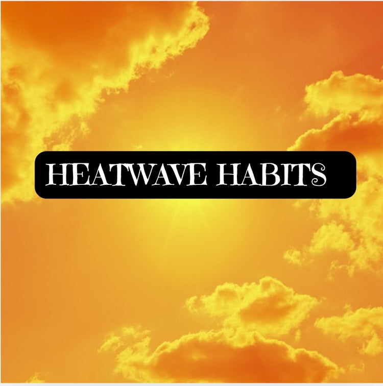 🌴 Heatwave Habits Collection